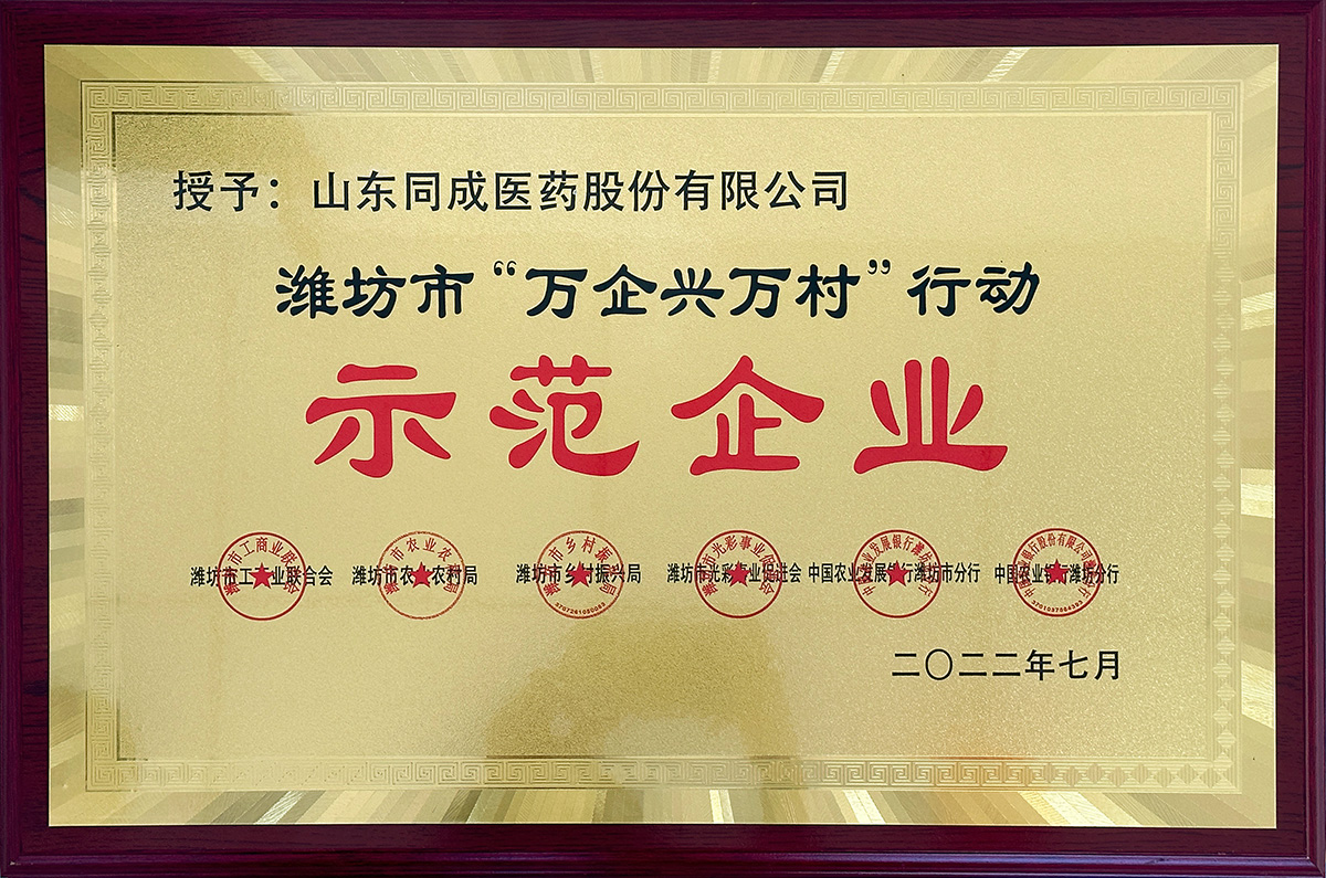 榮譽證書
