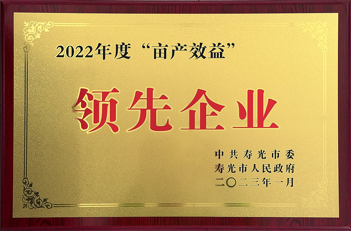 榮譽證書